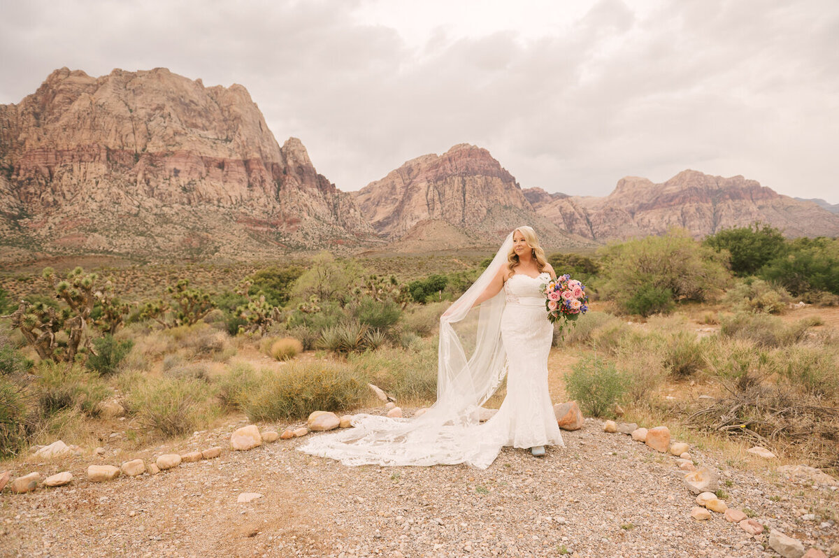 South Oak Creek Wedding at Red Rock Canyon