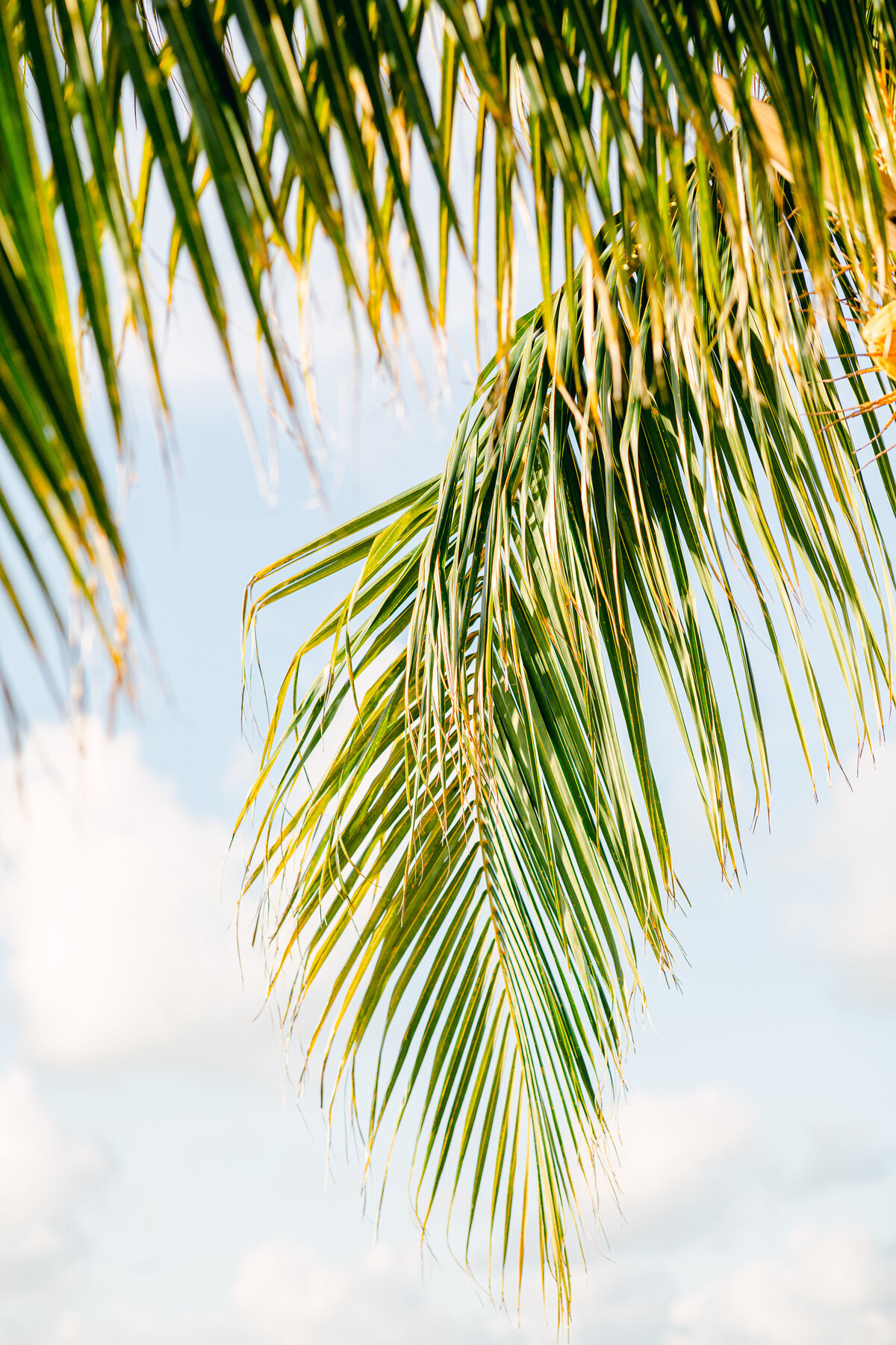 Portland OR Wedding Photographer Chantal Sokhorn Photography Nizuc Resort and Spa Cancun Mexico-61