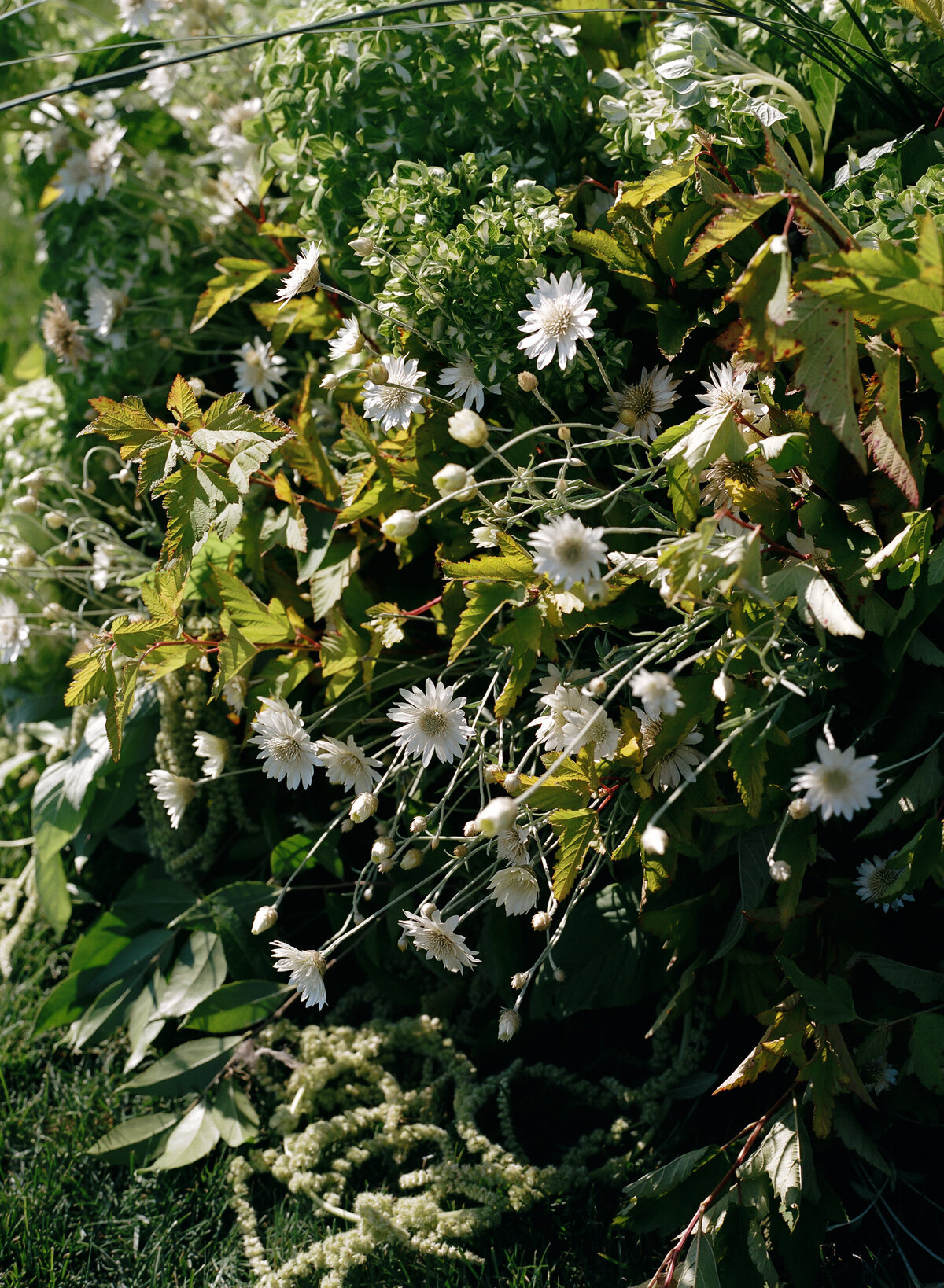 DT-2025-Kelcie&StevenPreview-18