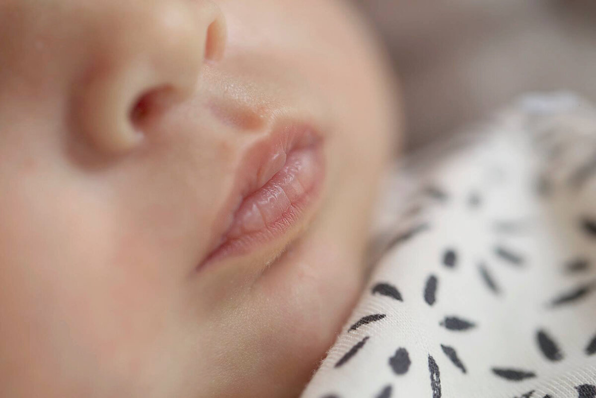 51877525_1126233594245354_2390030647457480704_n copy