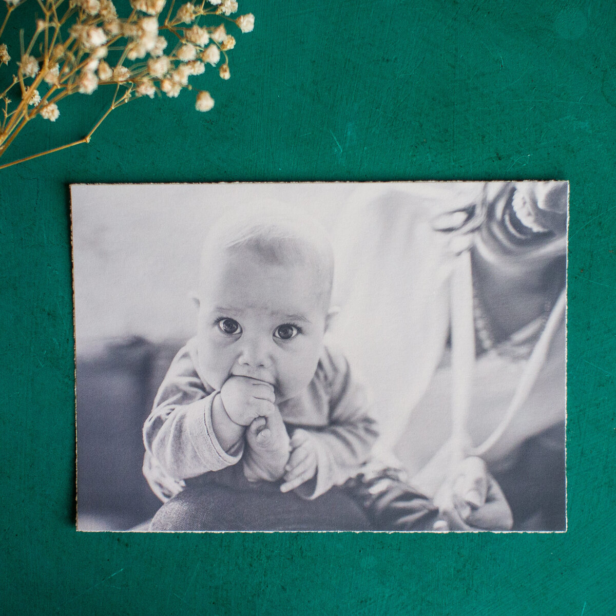 colorado springs family birth photographer home prints10