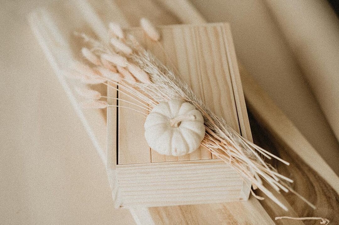 249346710_636450427762754_4960594496217188683_n