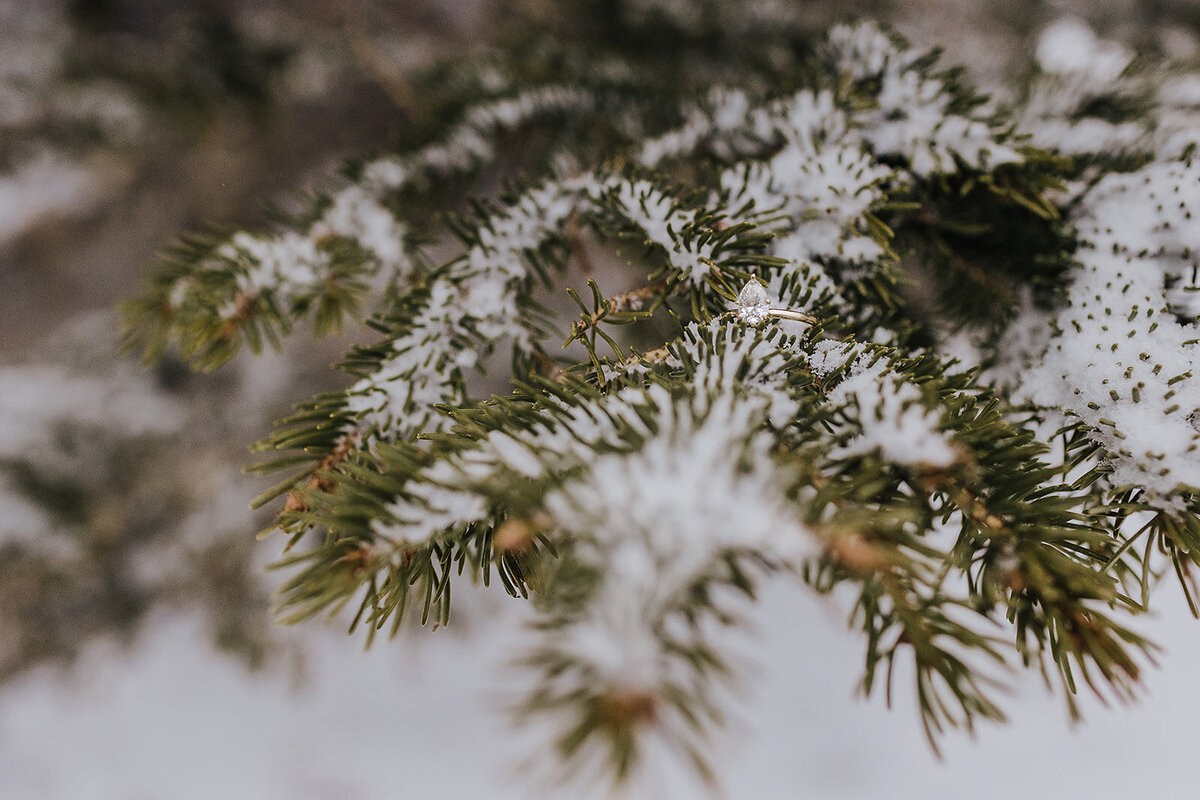 Canmore Wedding Photographer-416