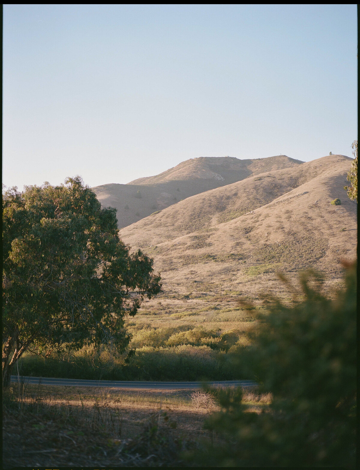 Tal+Will-Marin-Headlands-Center-for-the-Arts-Wedding-10