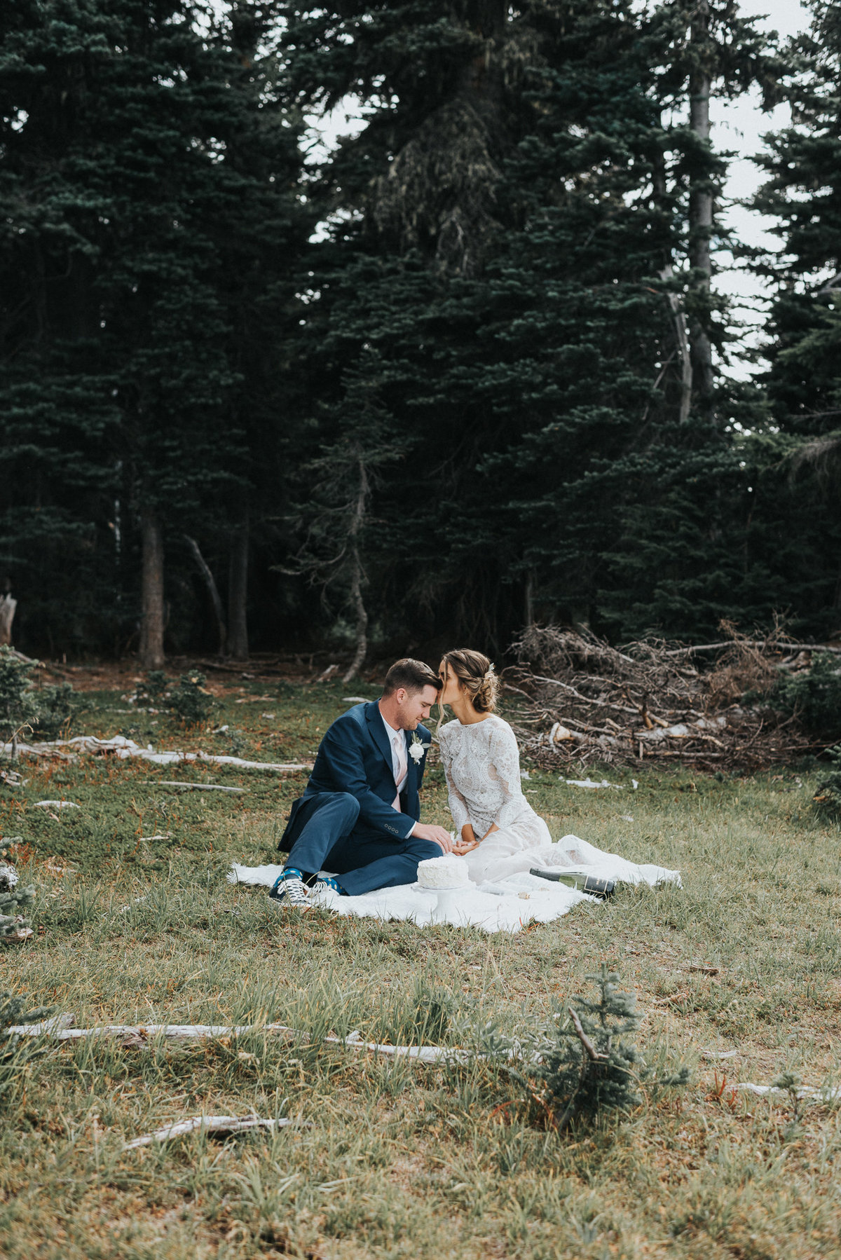 Intimate picnic with bride and groom at Hurricane Ridge Washington