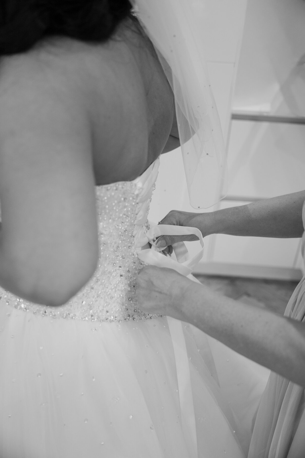 Carmen Sherred Photography-76
