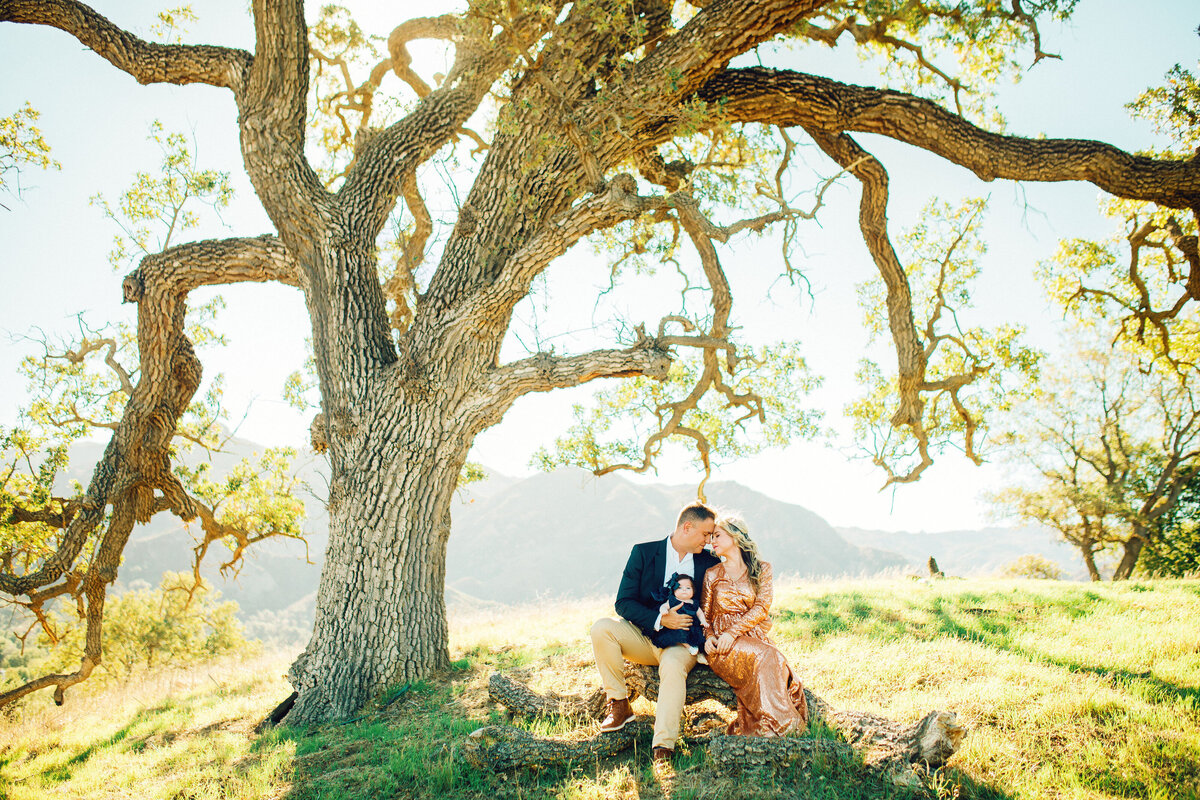 Family Portrait Photo Of Couple With Their Child Under a Tree Los Angeles