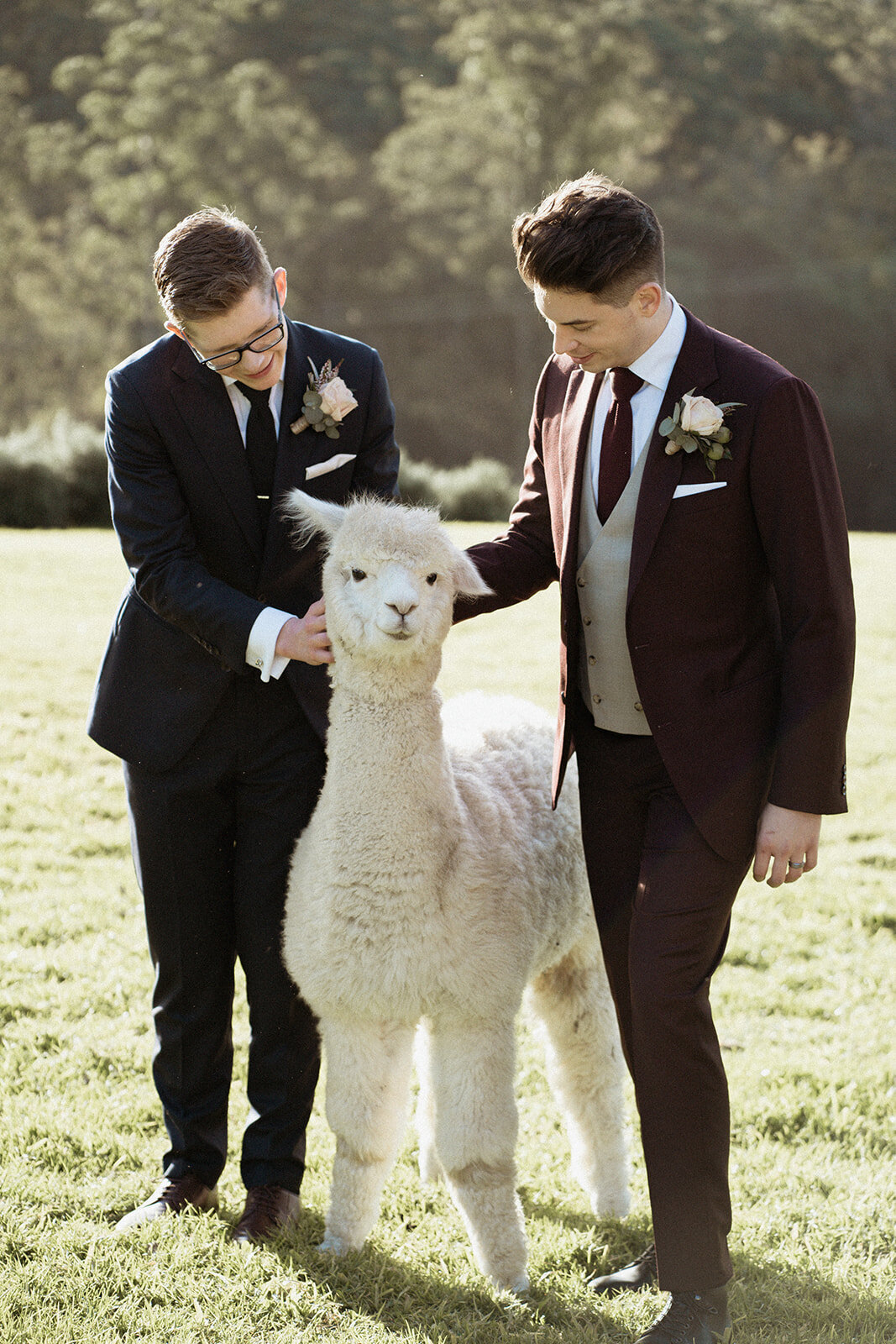 Cowbell Creek Wedding Photographer0542_websize