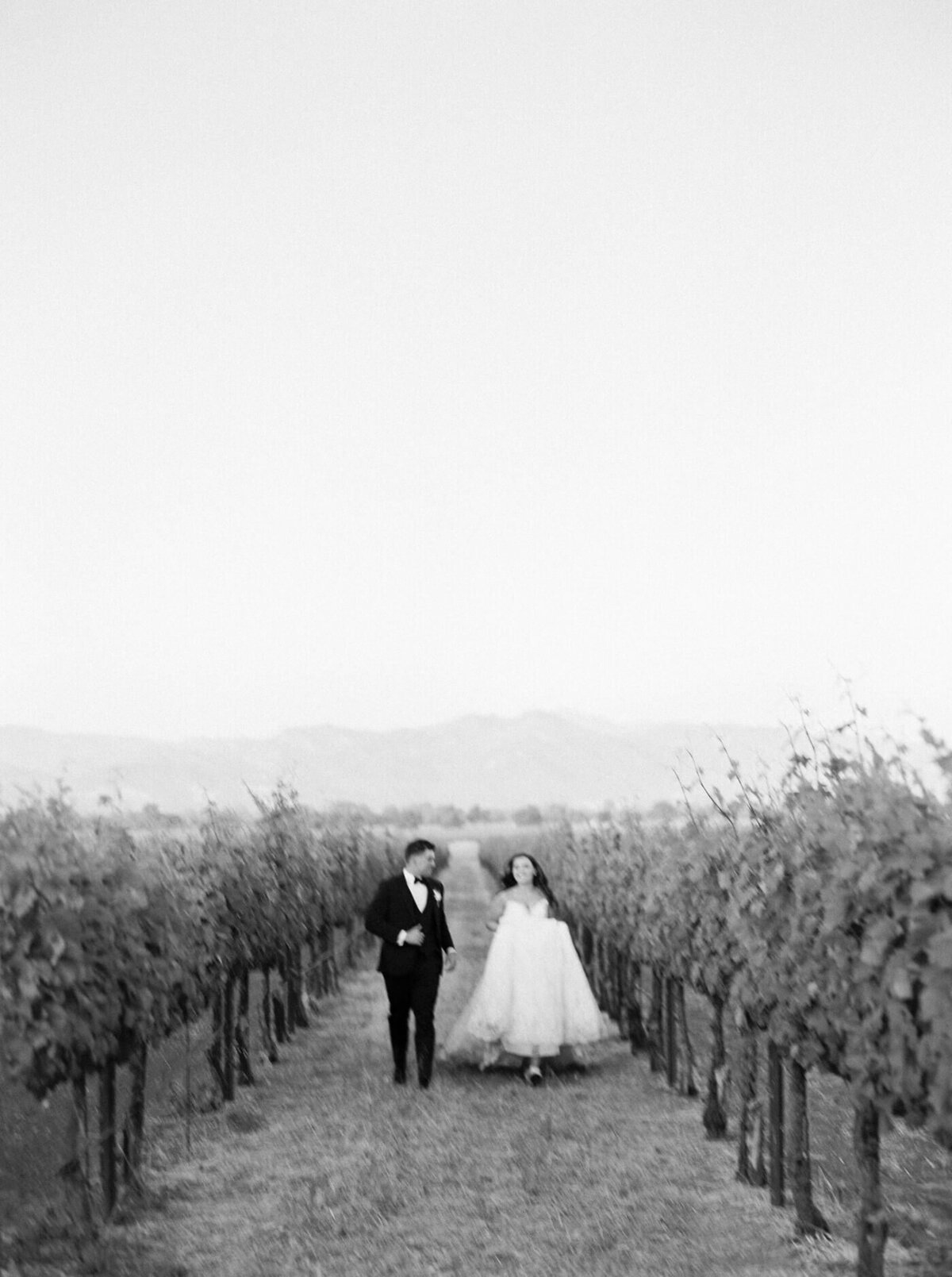 Trentadue winery napa california_0050