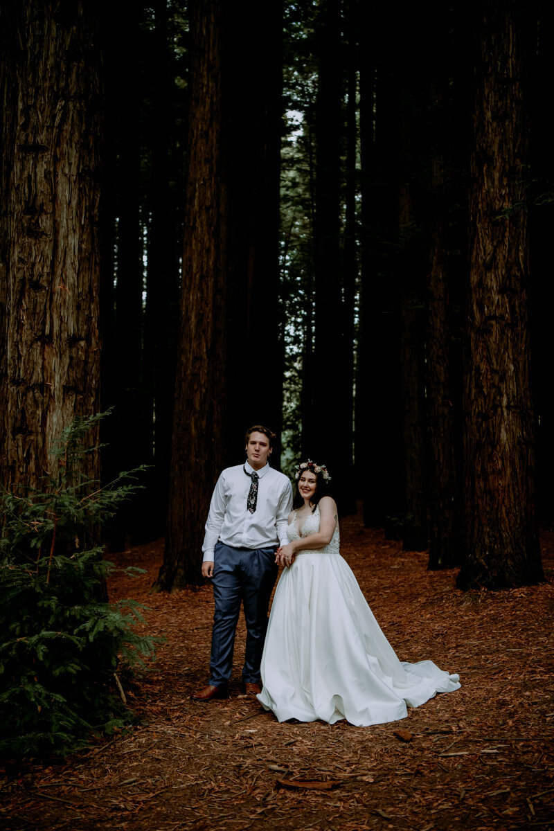photo-300
