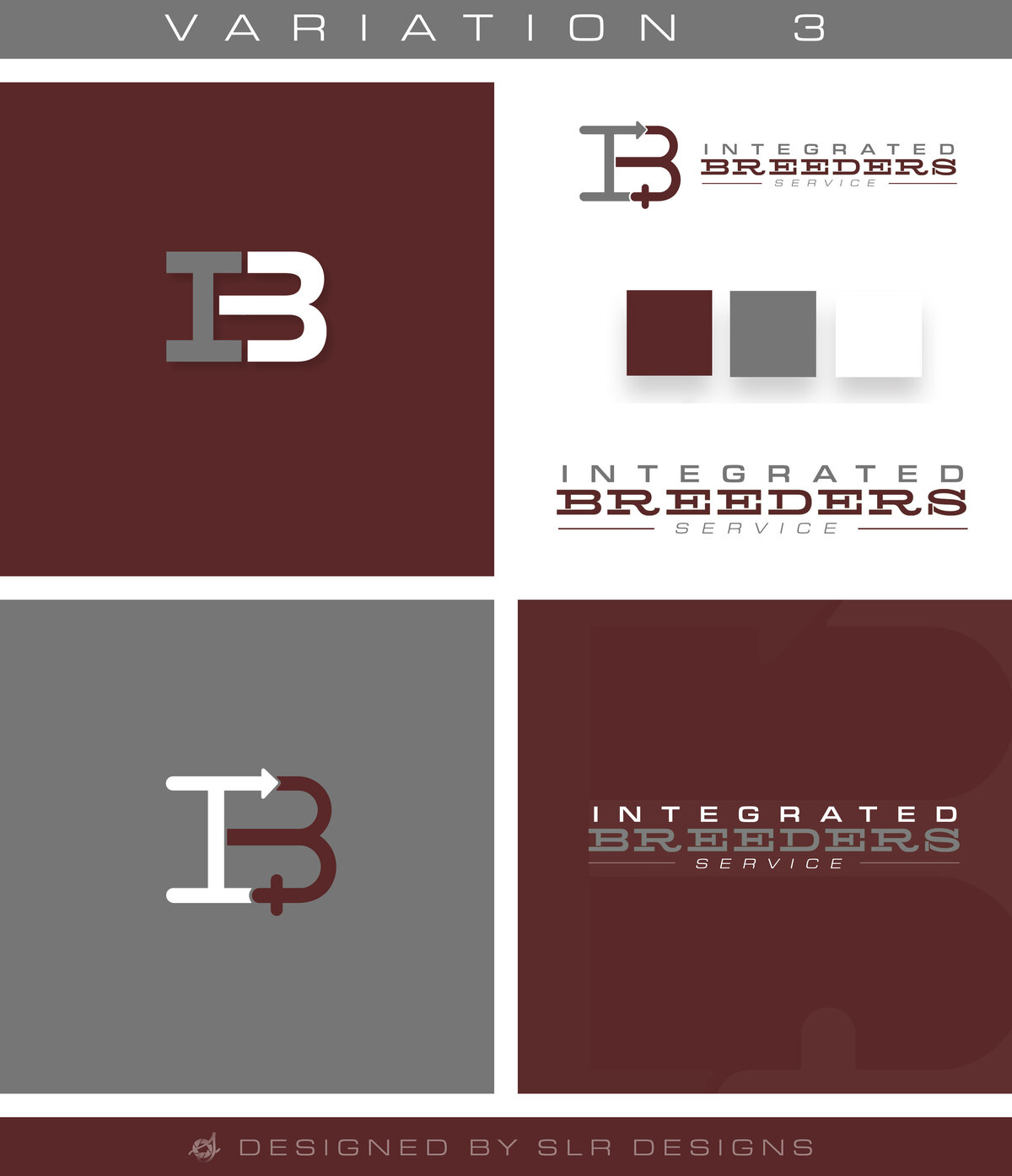 Logo_V3IB(f6)