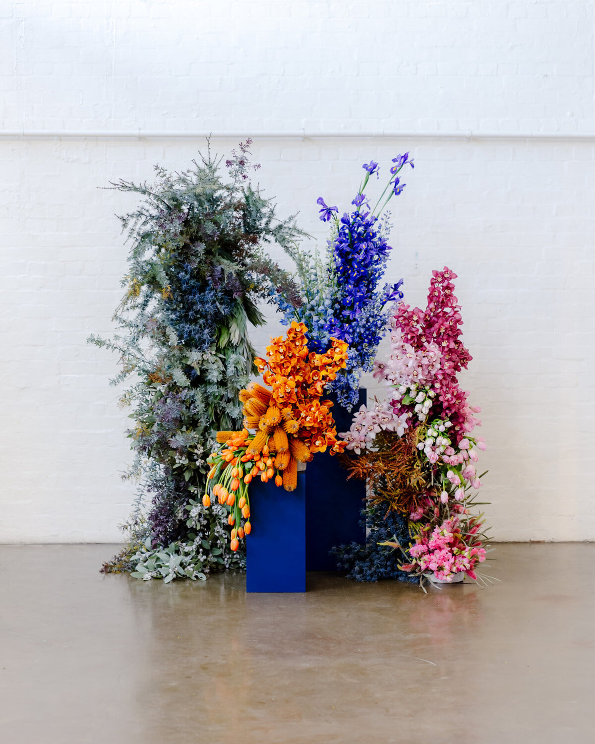 Cameron & Emanuel-414_websize