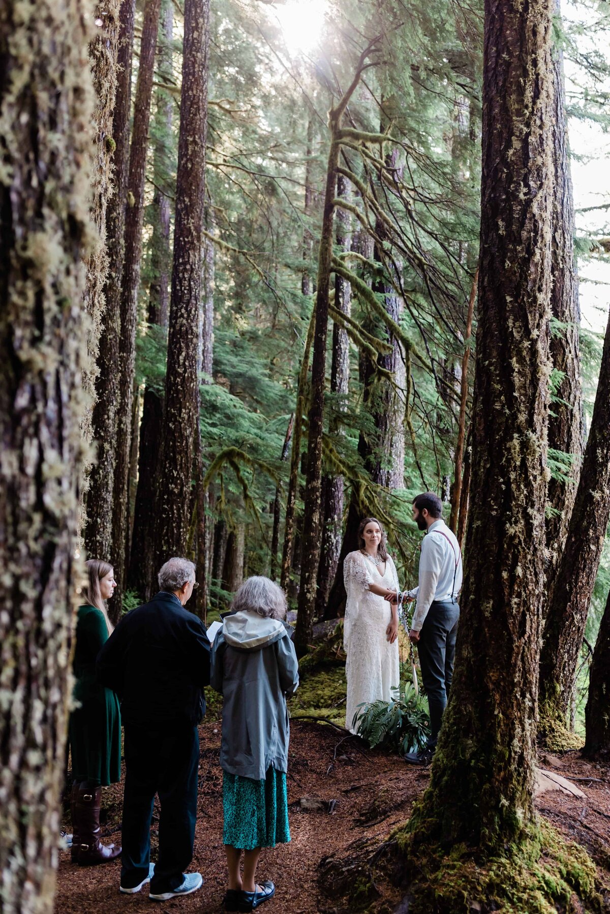 Redwood-old-growth-adventure-elopement-with-family-7033