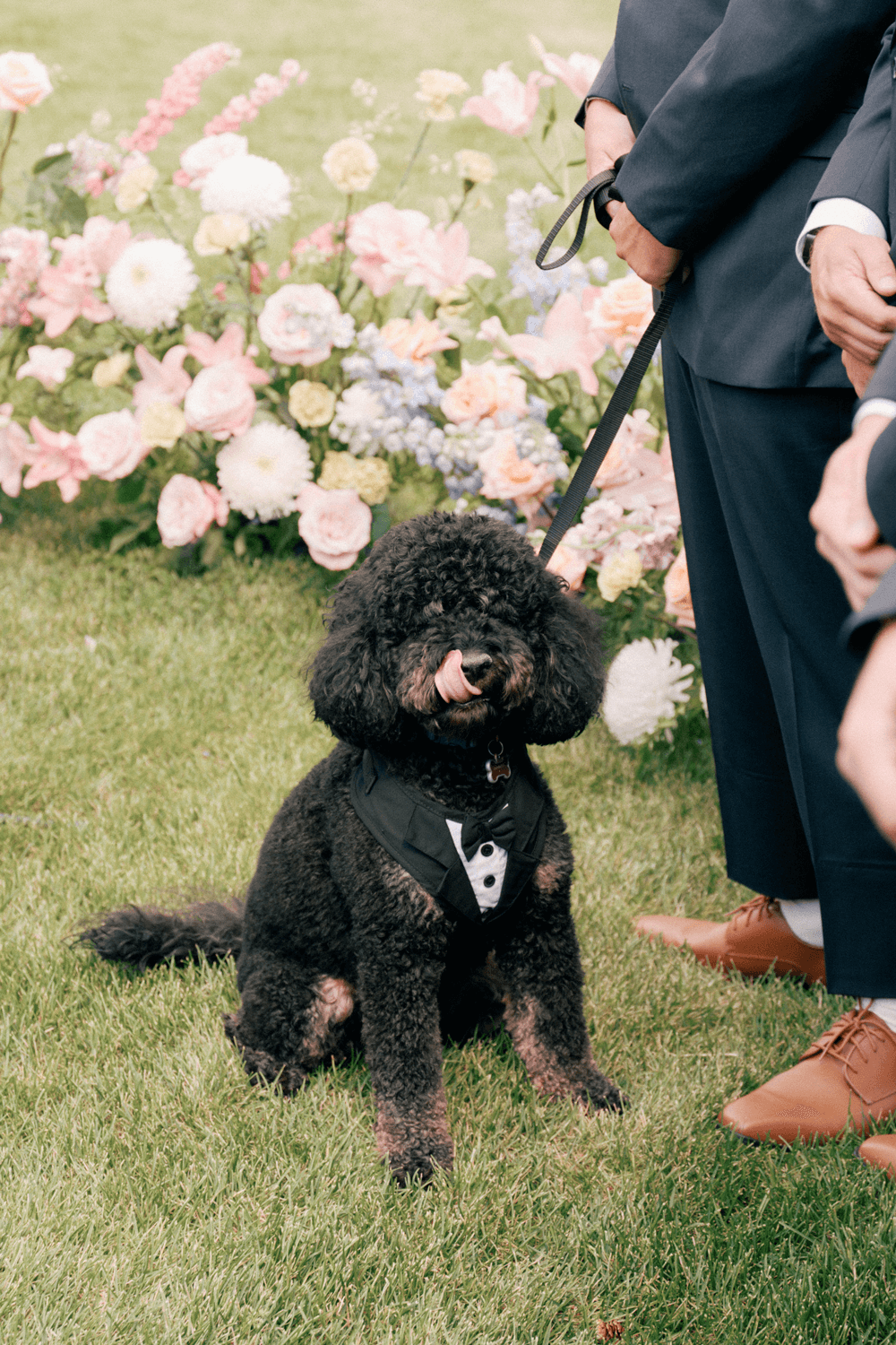 Dog dressed as ring bearer in a tuxedo harness at a pastel summer wedding at Moonlight Basin, sitting in front of floral arrangements.