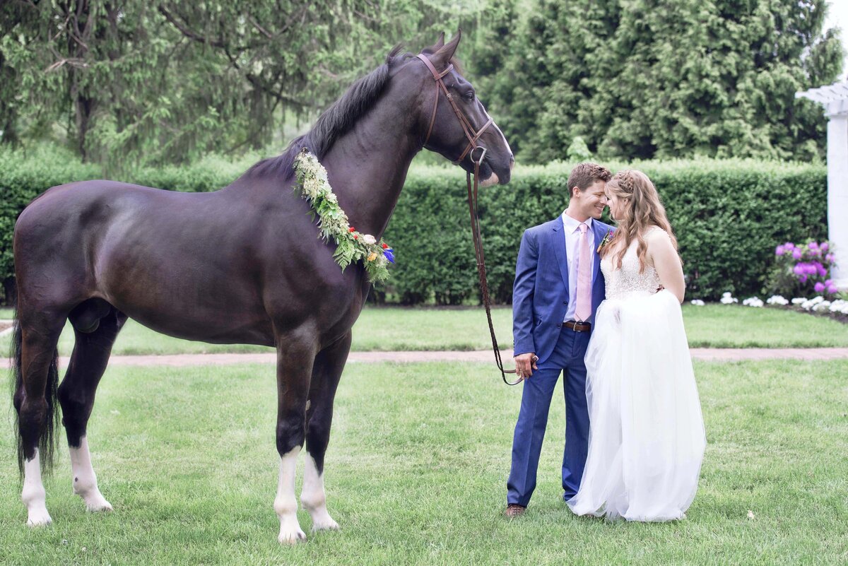 Groom and bride with horse