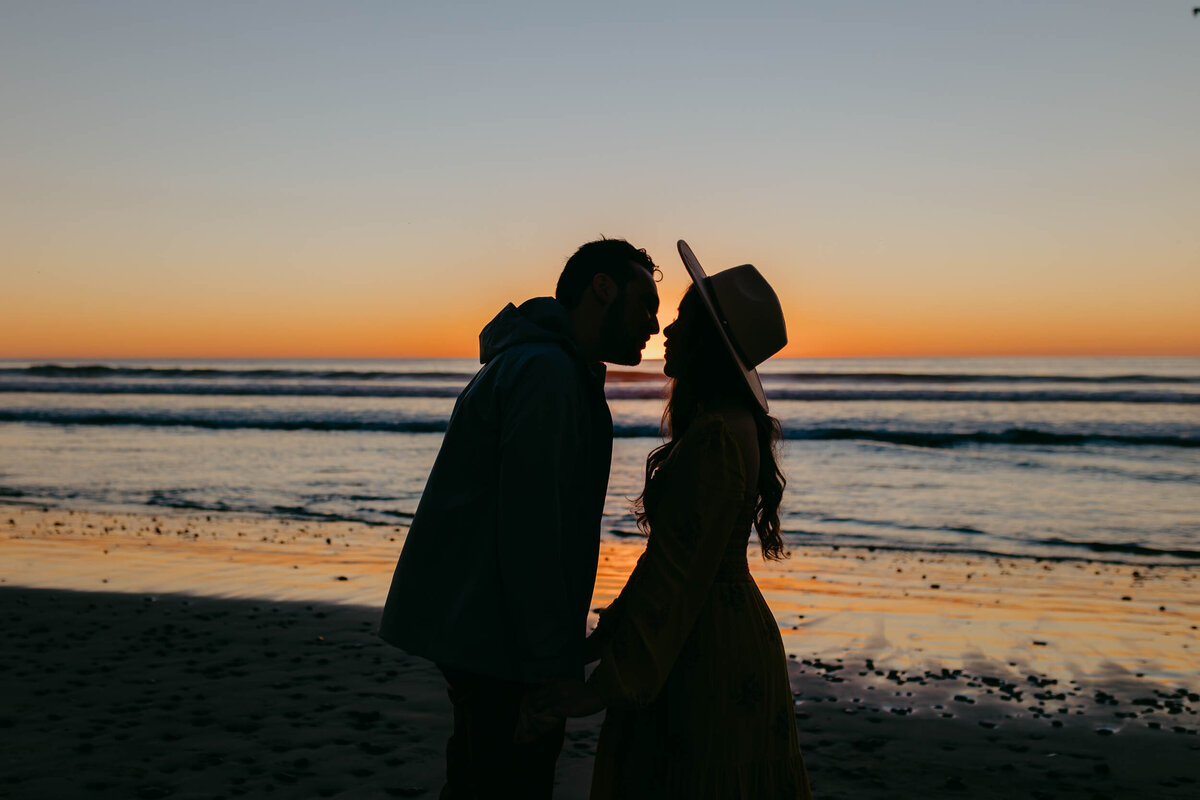 Lexx Creative-Torrey Pines State Beach-Engagement Photos-16