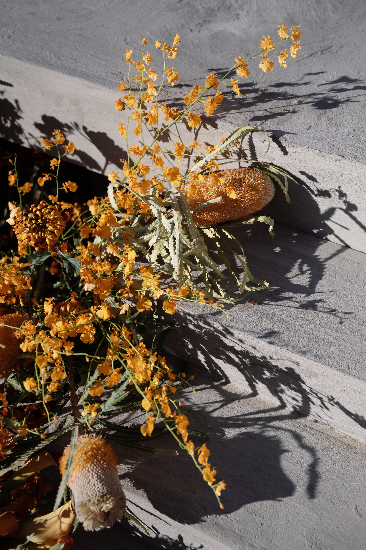 Amangiri Wedding Wild Heart Events-17