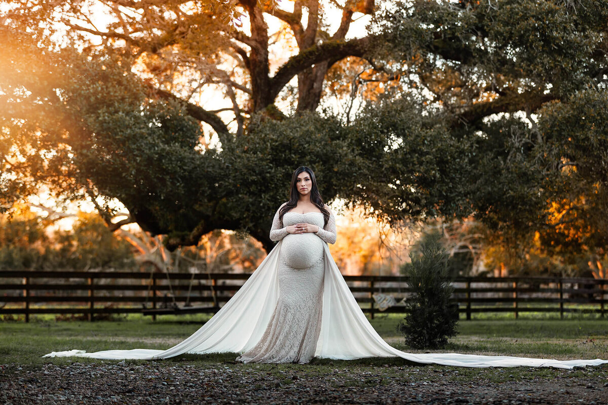 Beautiful maternity photography in Houston under a oak tree during golden hour.