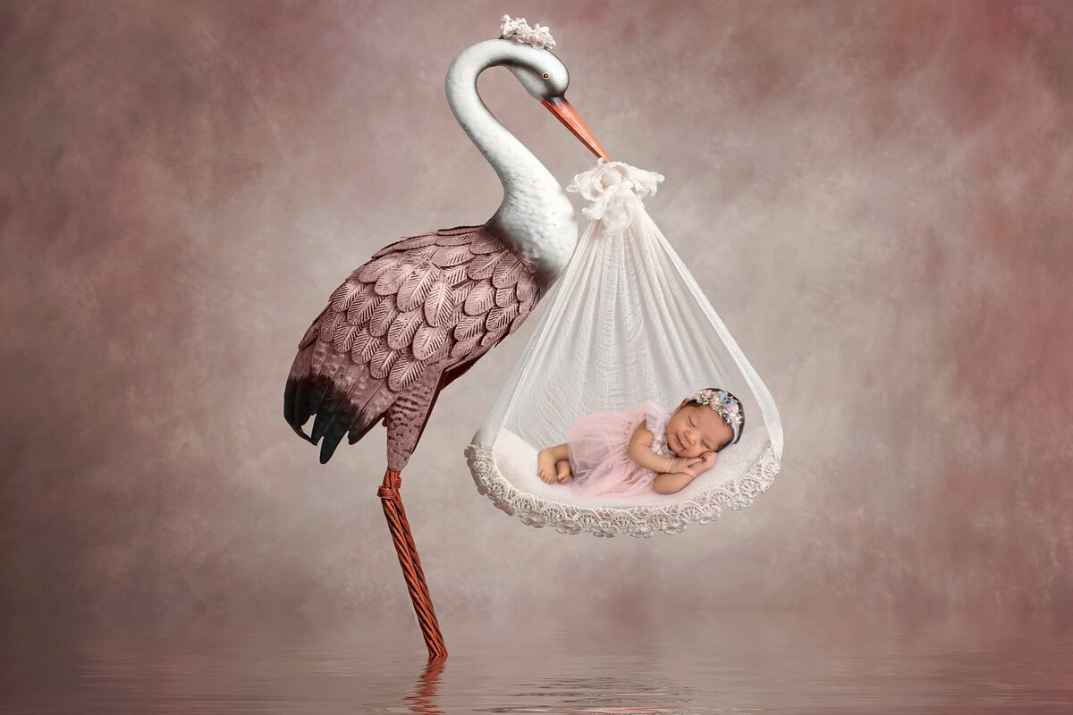 toronto newborn photographerstork pink