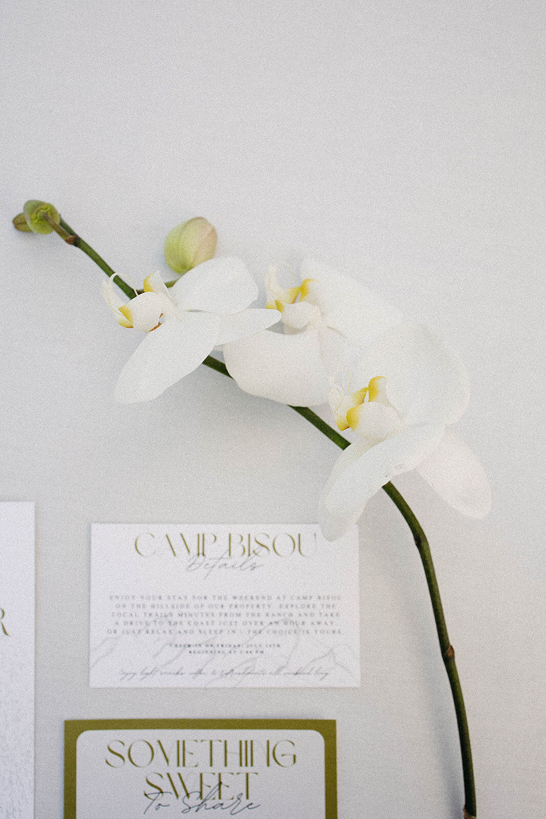 Erin_Lee_Wedding_Santa_Rosa_July2023_danipadgett26691_websize