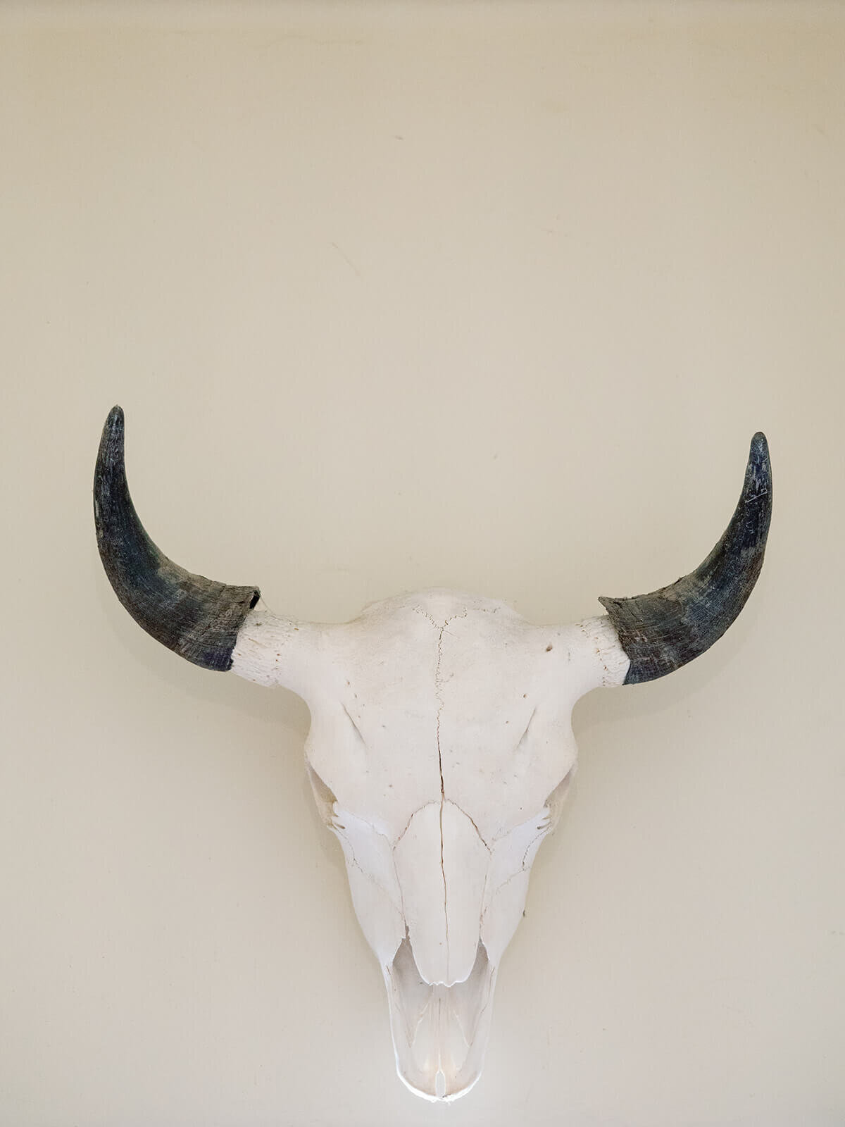 holman- ranch-carmel-valley-california-wedding-chelsea-brooke-events ( 182)