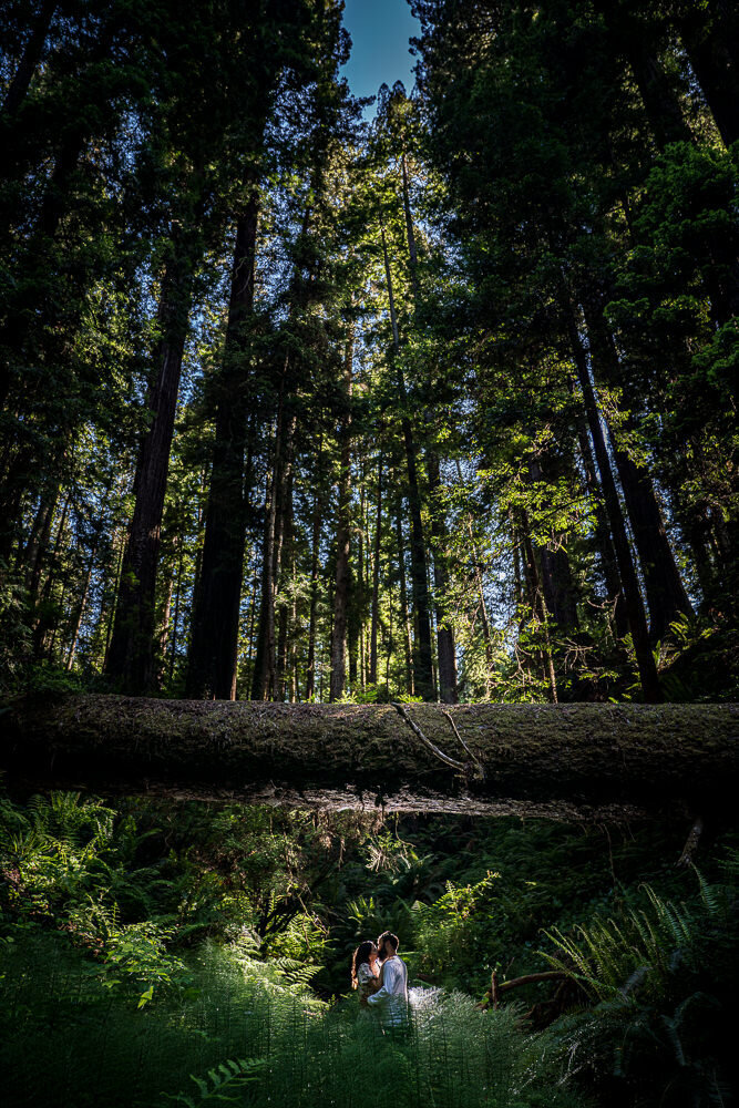 Eureka CA Engagement Photography