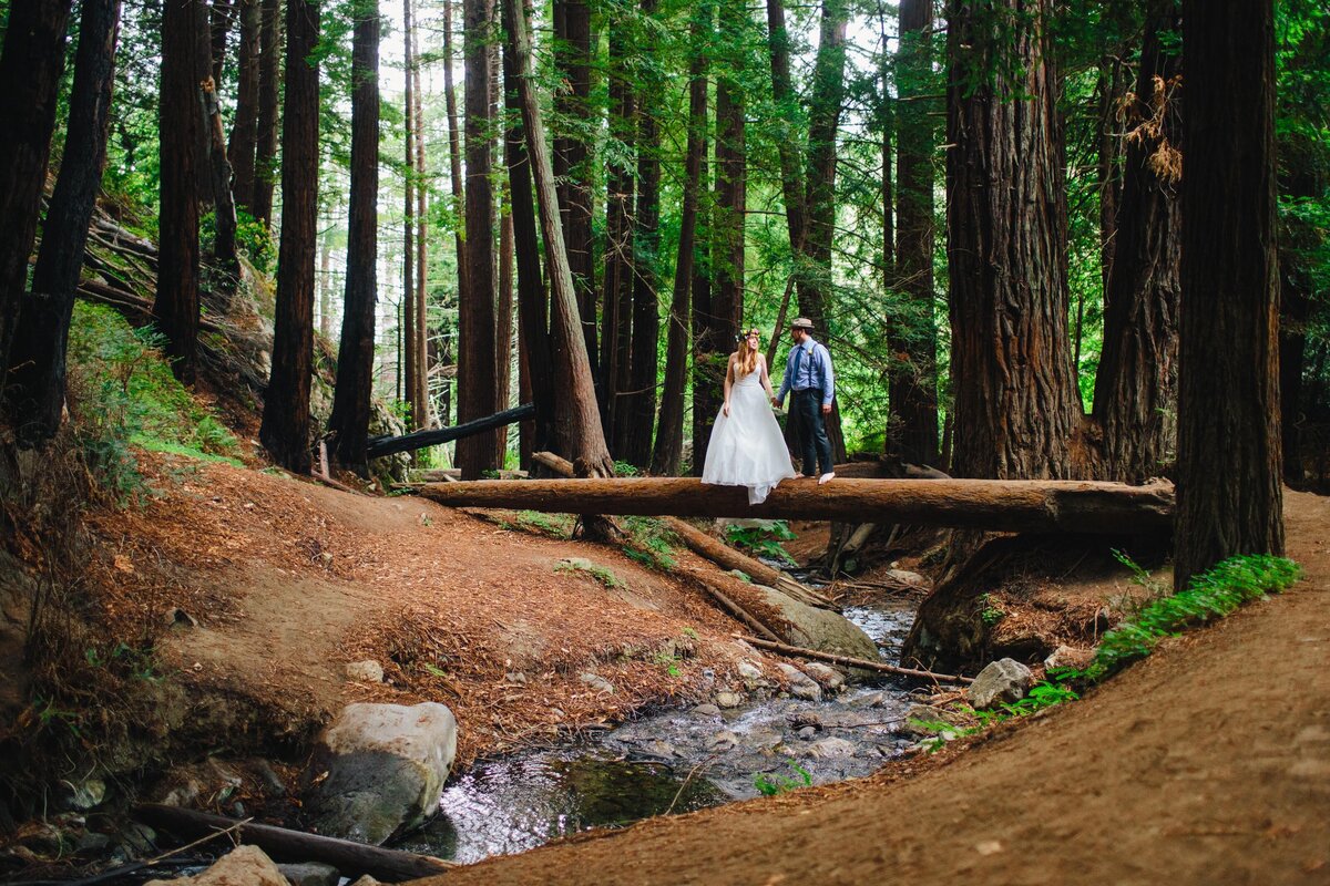 A bride and groom stand on a fallen log in a Redwood forest on their wedding elopement day in Northern California.