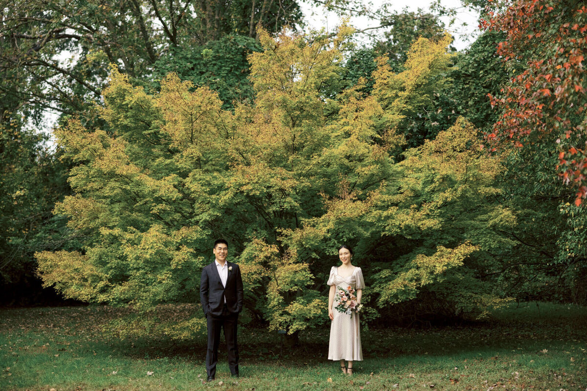 The engaged couple is in front of a big tree with beautiful yellow leaves at Planting Fields Arboretum, NY. Image by Jenny Fu Studio