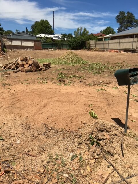 Evergreen Tree Services SA-Tree Removal-003a