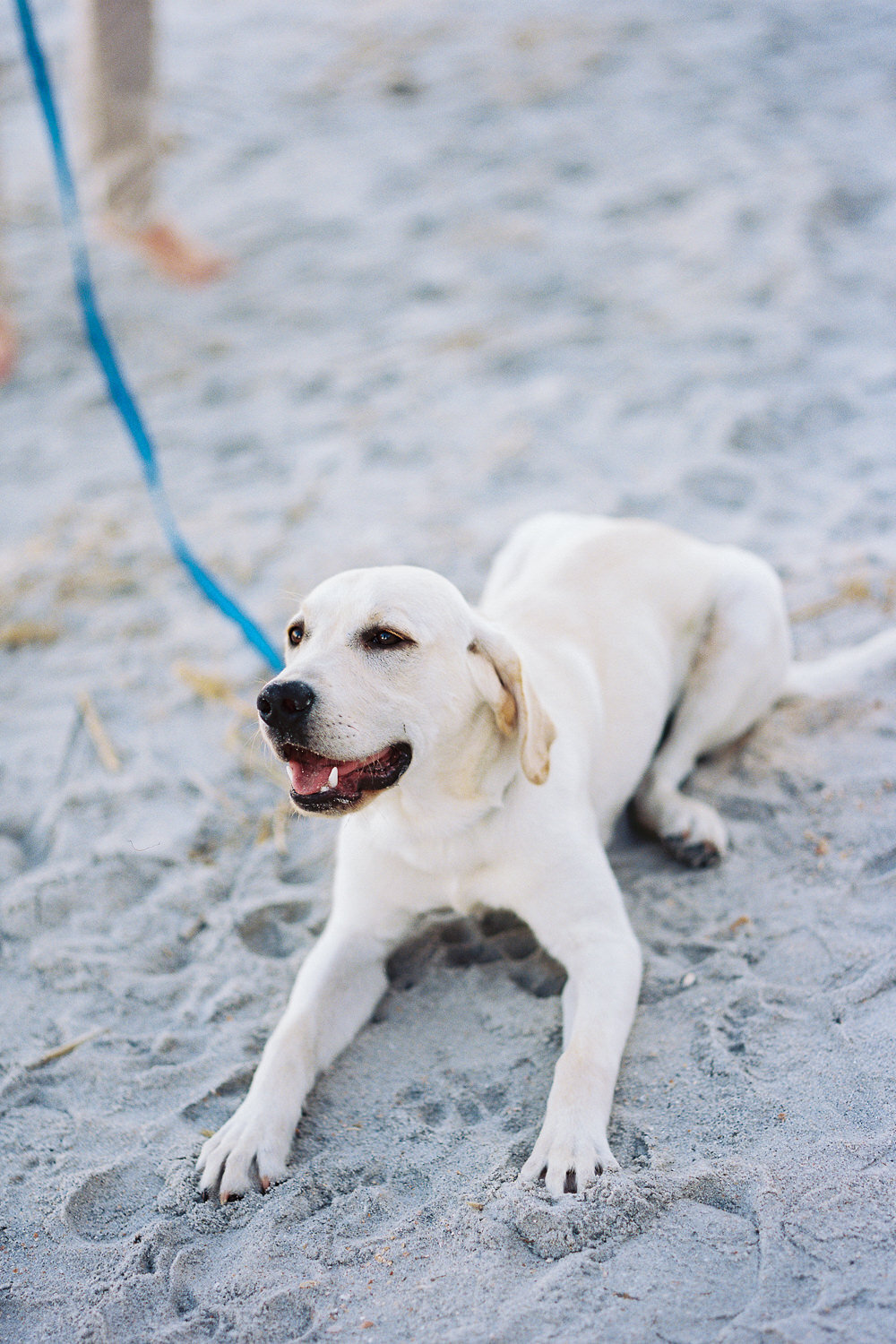 Jacksonville Wedding Photographer - Hunter and Sarah Photography-34