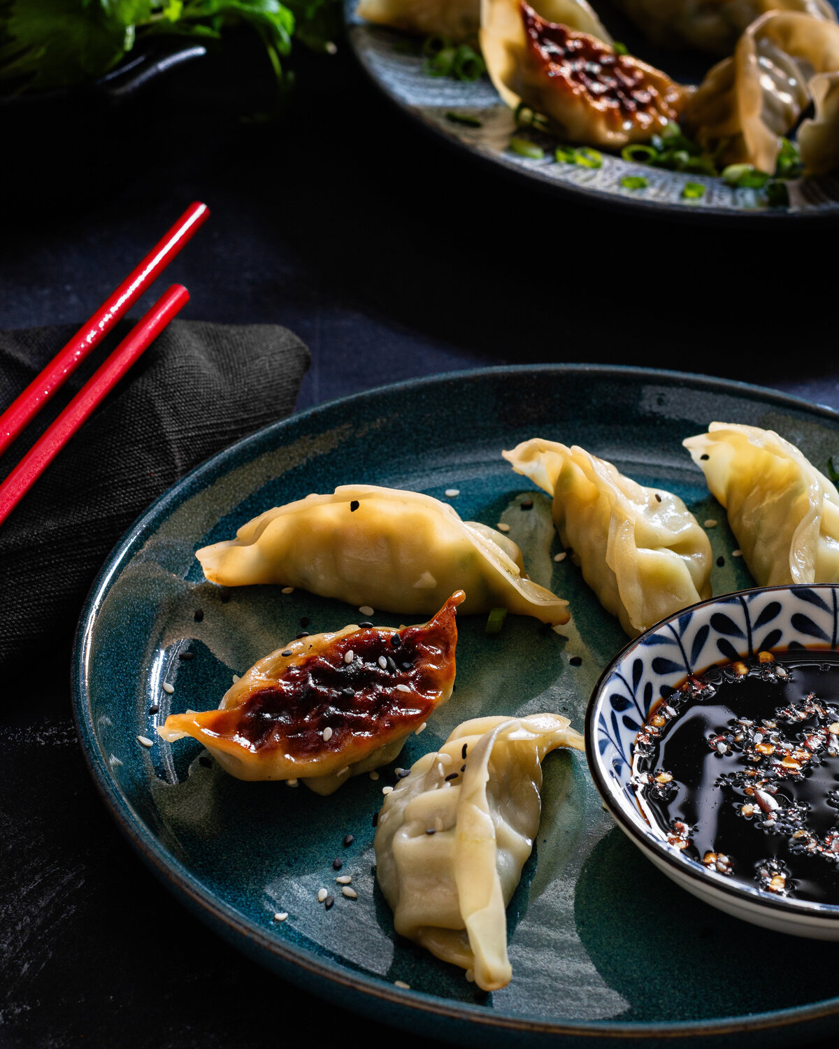 Pan fried gyoza with dip bowl on a plate