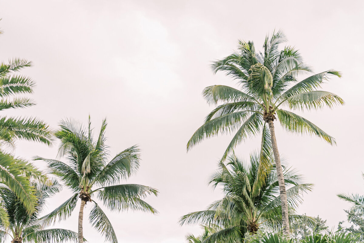 jenn and jeff wedding 0486