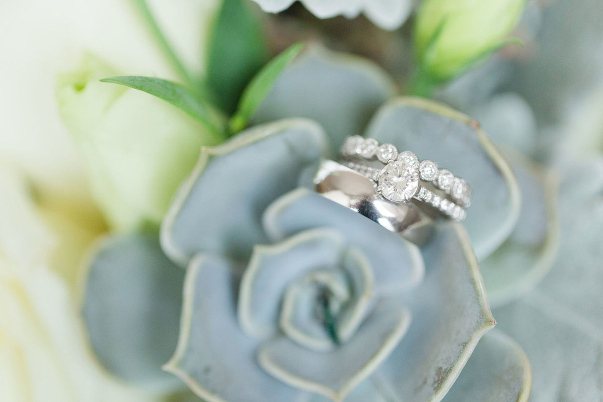 Carrie&GregWedding-2018-25228