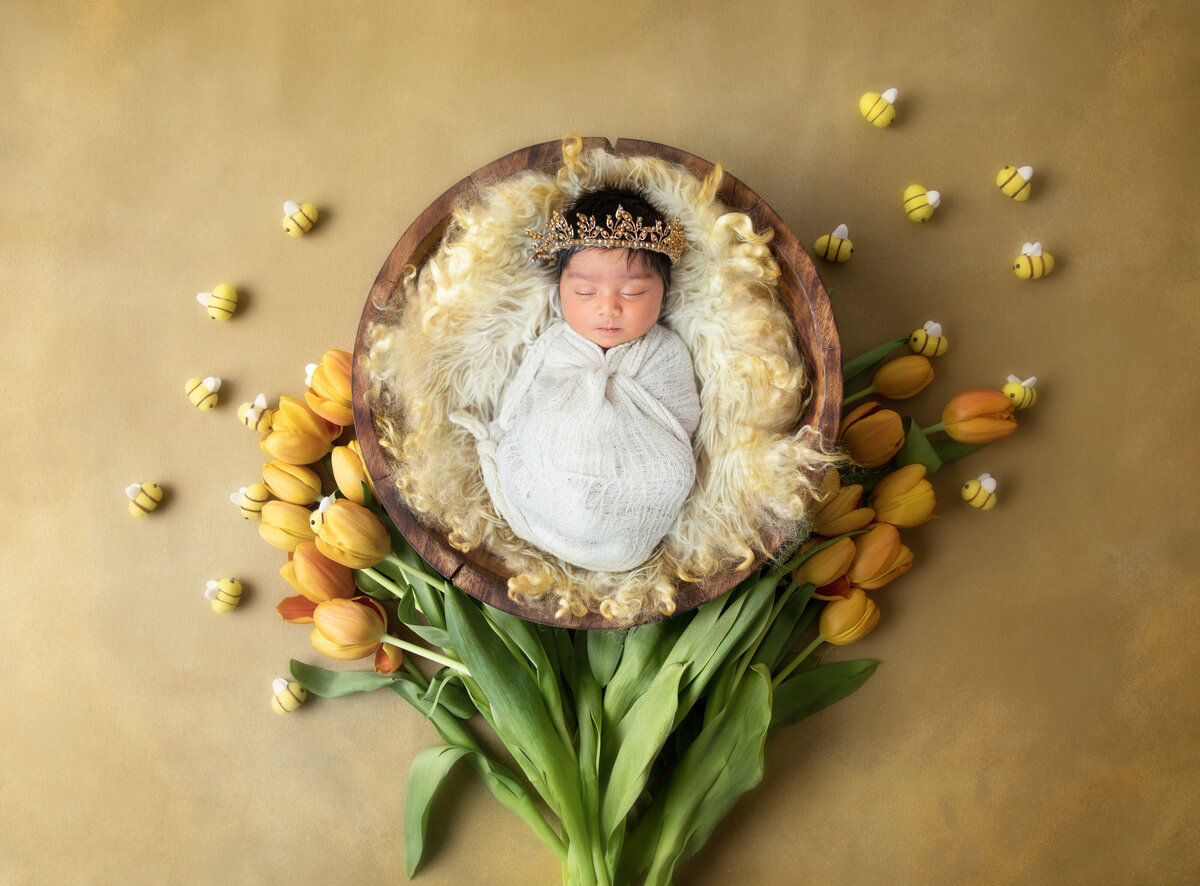 One12 Photography - Newborn Photography Photography in London Ontario5