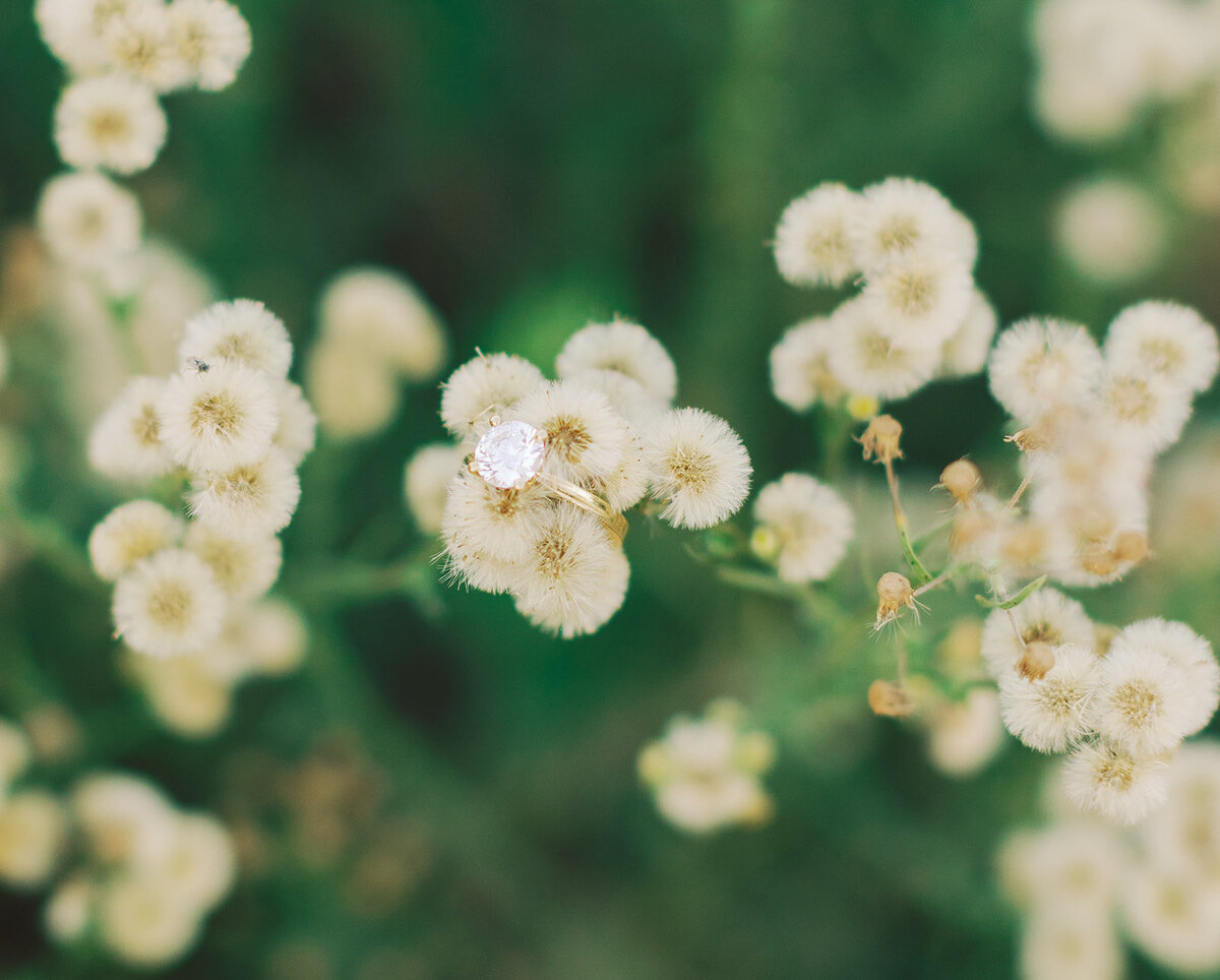 Engagement_Northern California_msquaredphotography_copyrighted_2092262117_www.msquaredphotography.me-118