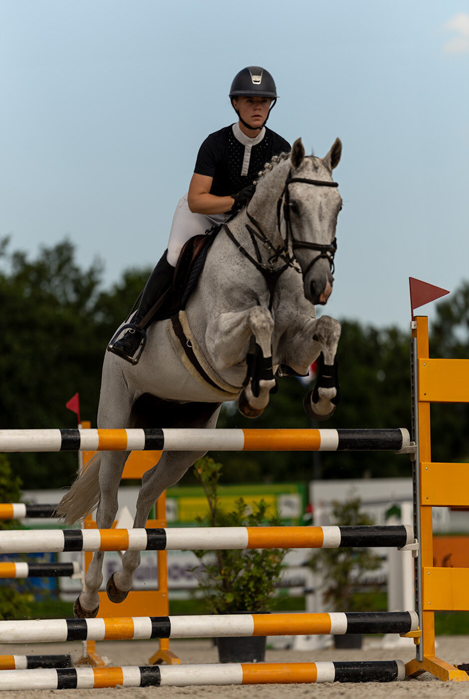 webDSC02270