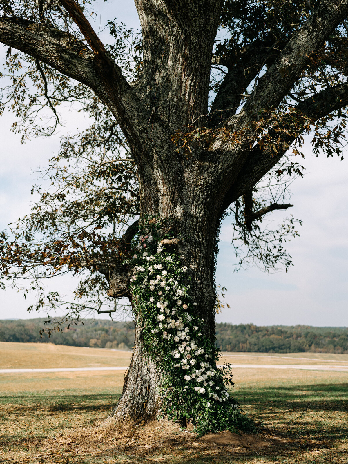 Alix_Hamilton_Wedding_Gallery-53
