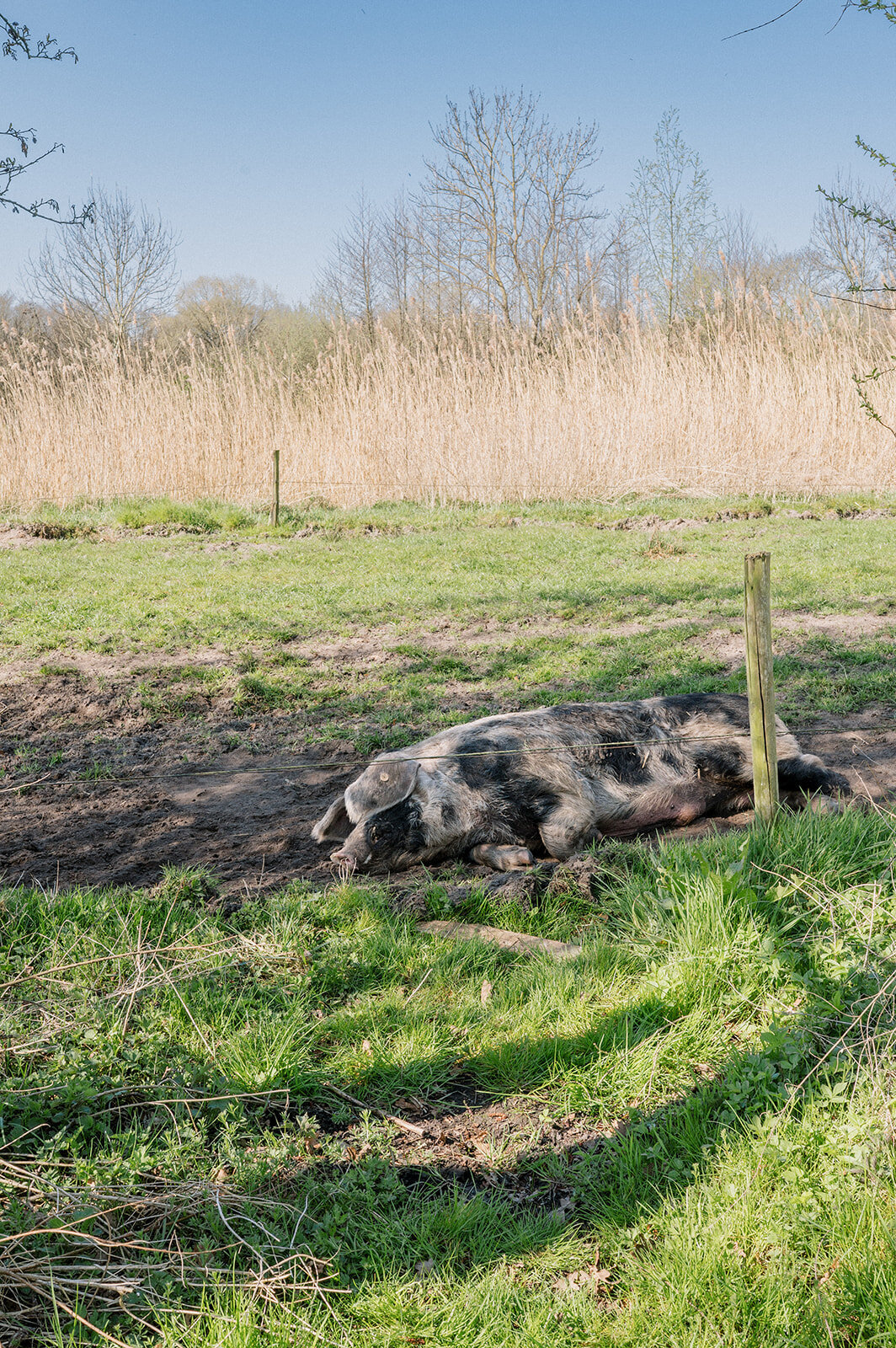 FotostudioFlora_Sengersbroek-33