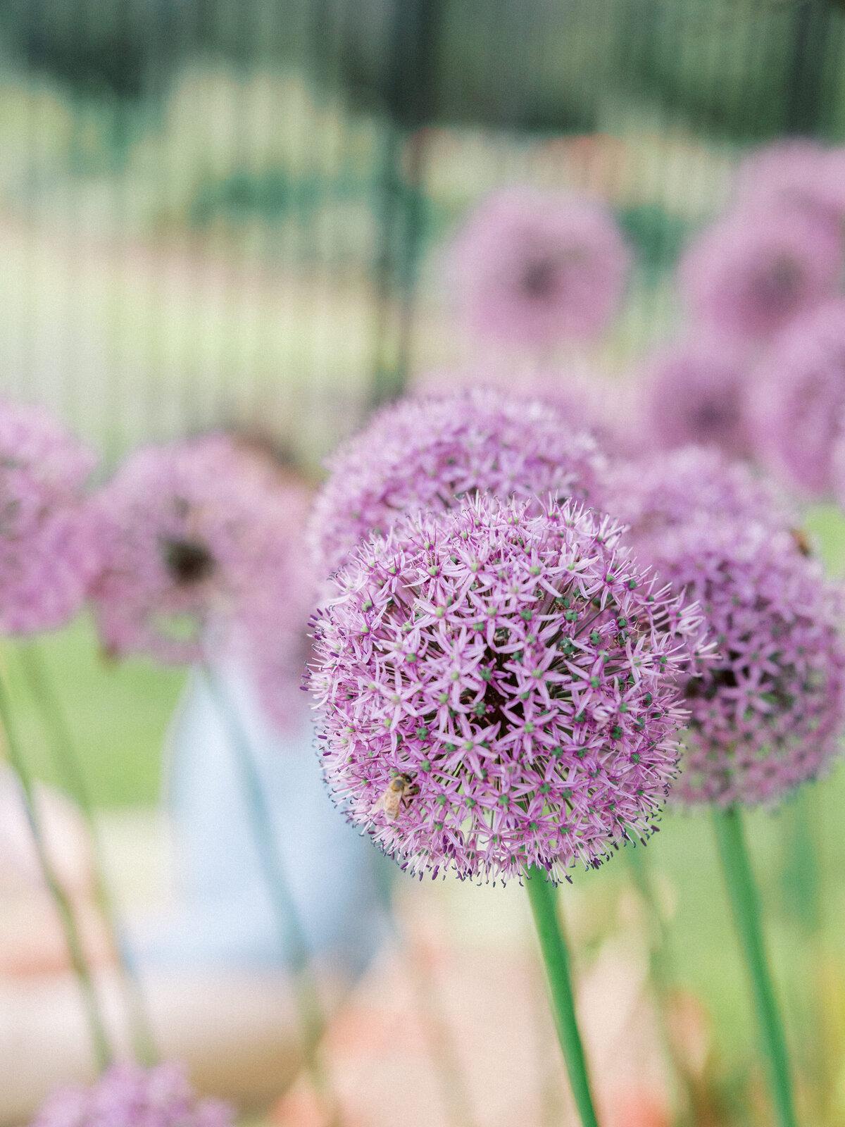 Anne-Troxel-Pittsburgh-Wedding-Photography-Hartwood-Acres-Engagement-L&K-188
