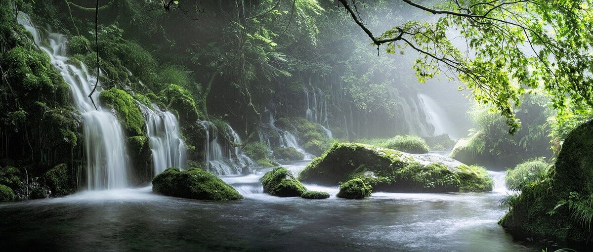 Tai Chi Gung has its roots in nature. This waterfall is bursting with chi