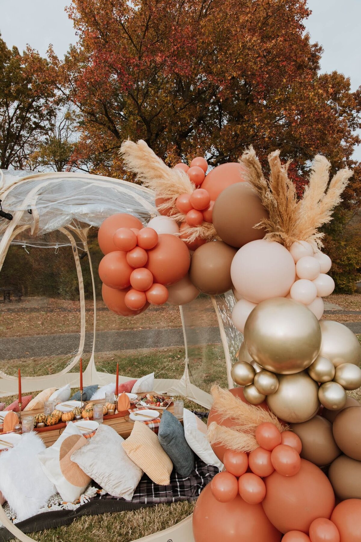 cherry-hill-fall-picnic-18