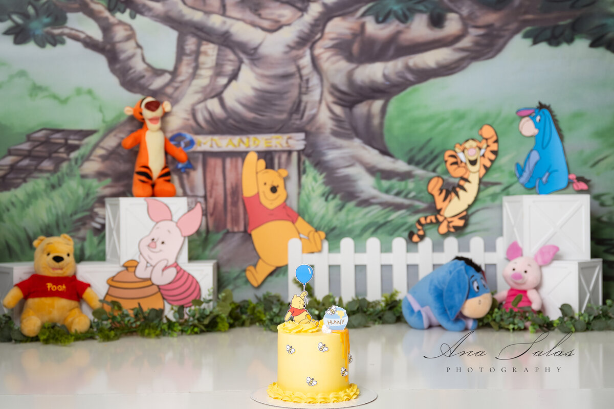 Cake Smash Photographer Edmonton-9