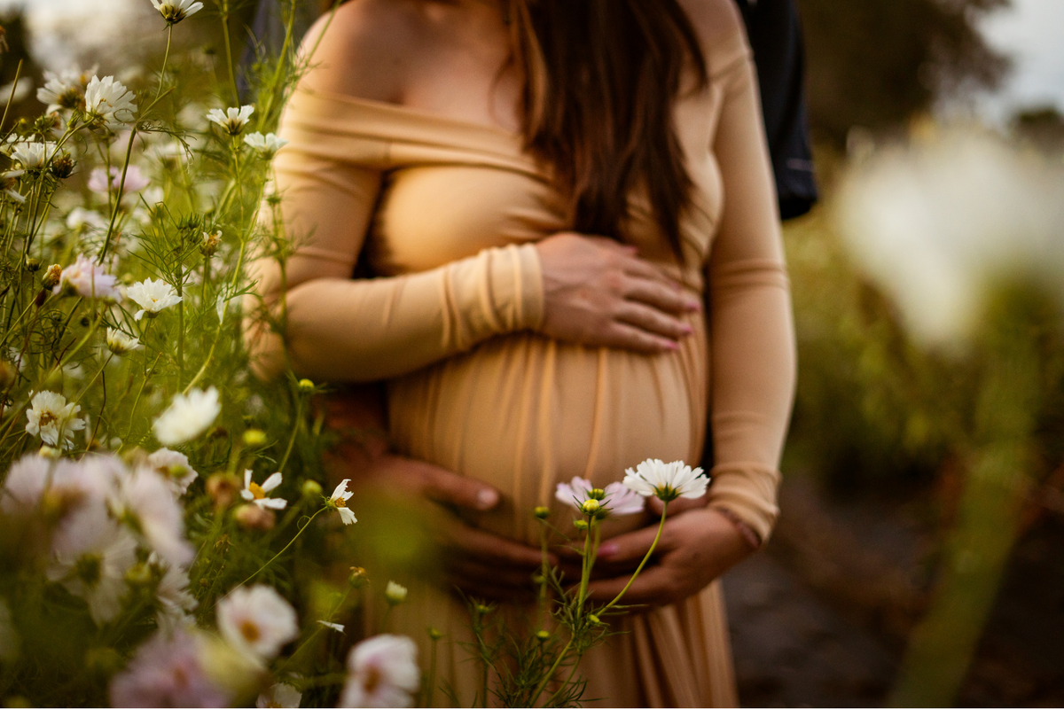 dmc pic edits right size (1620 x 1080 px)