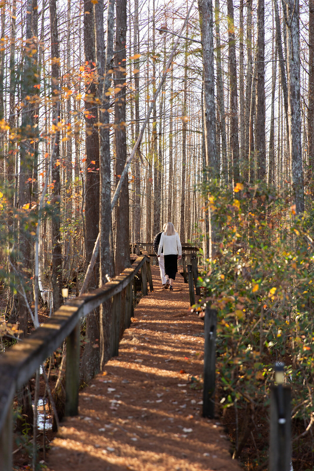 Macon Proposal Photographer