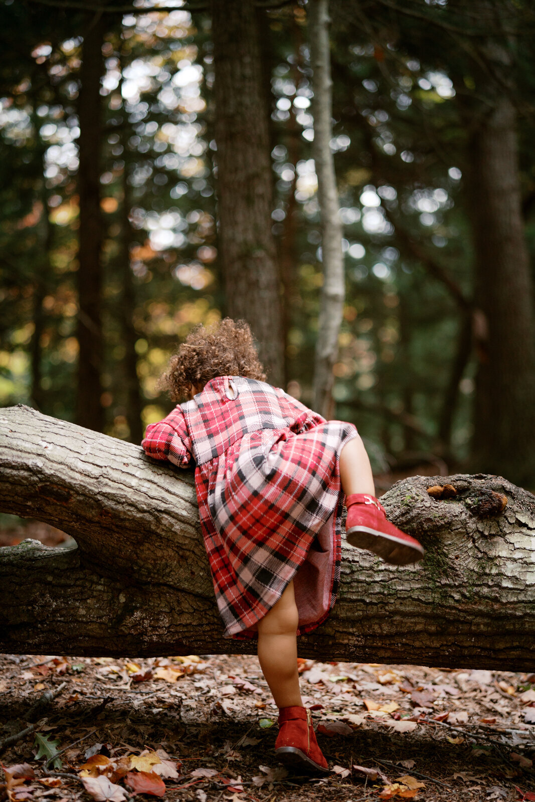 Grand Rapids Family Photographer-401