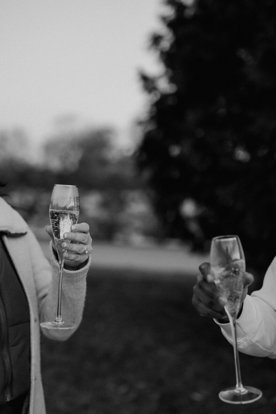 engagement-session-longwood-gardens-pa