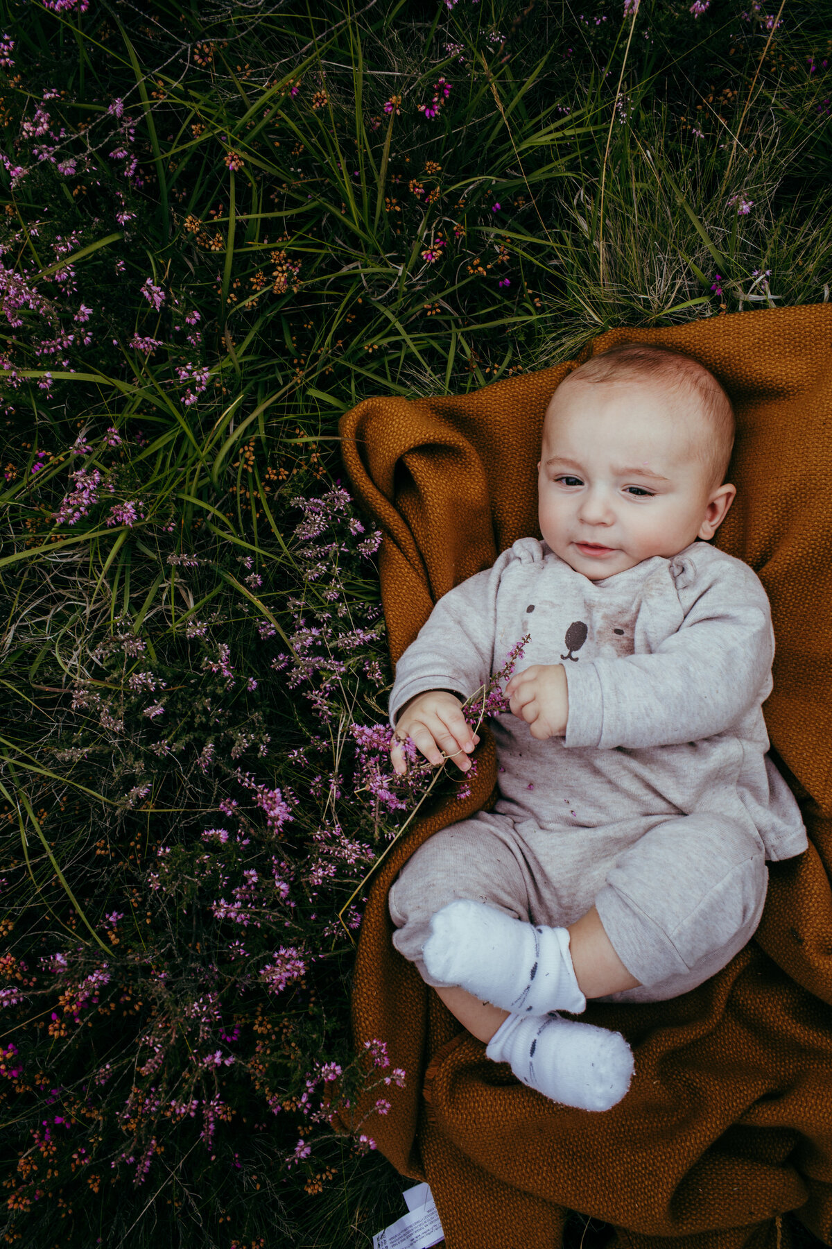 Chobham common is one of the best locations for family mini shoots, the colours of the wild plants are amazing