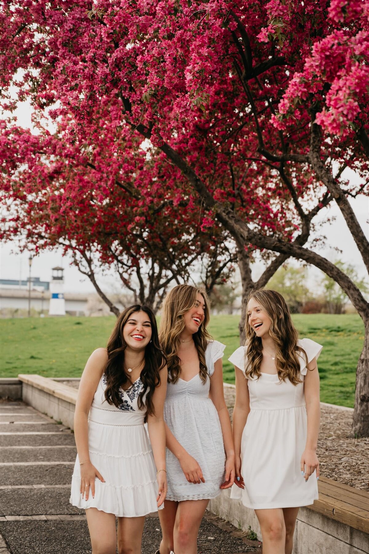 Twin Cities Senior Photographer (1)