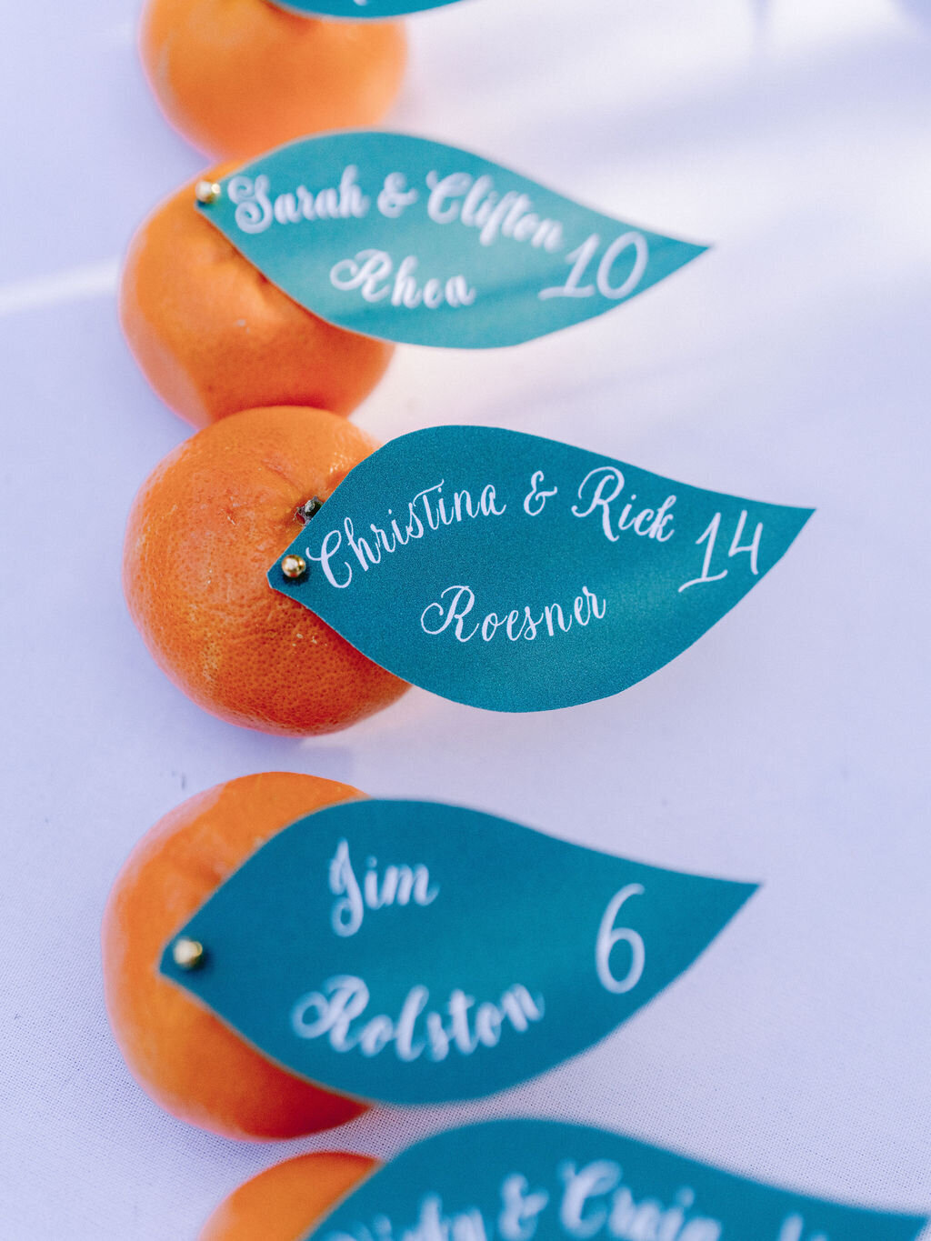 NikkiSanterre_EastCoastLuxuryWeddingPhotographer_CliftonInnWedding_Sky&Ryan-99