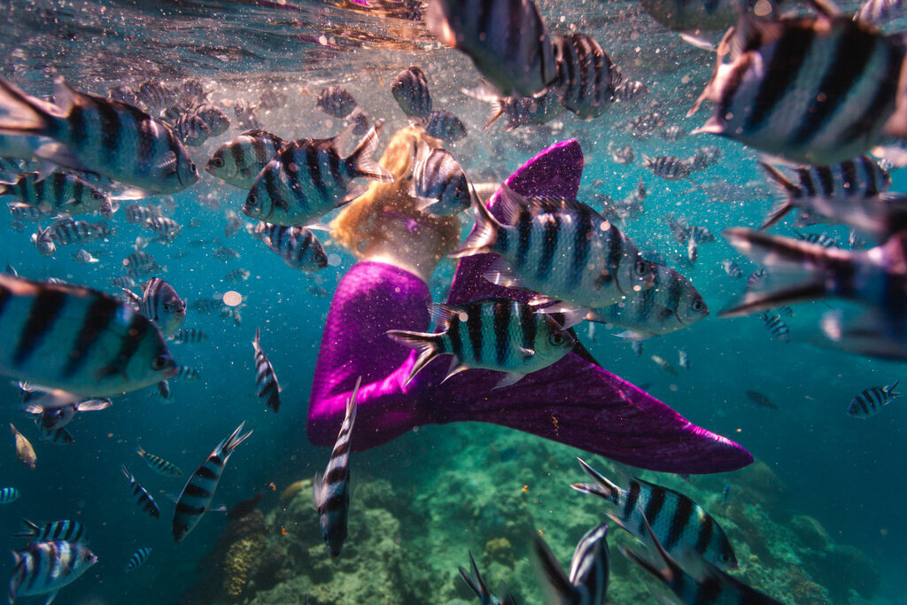 girl in purple mermaid tail underwater swimming away with many fish